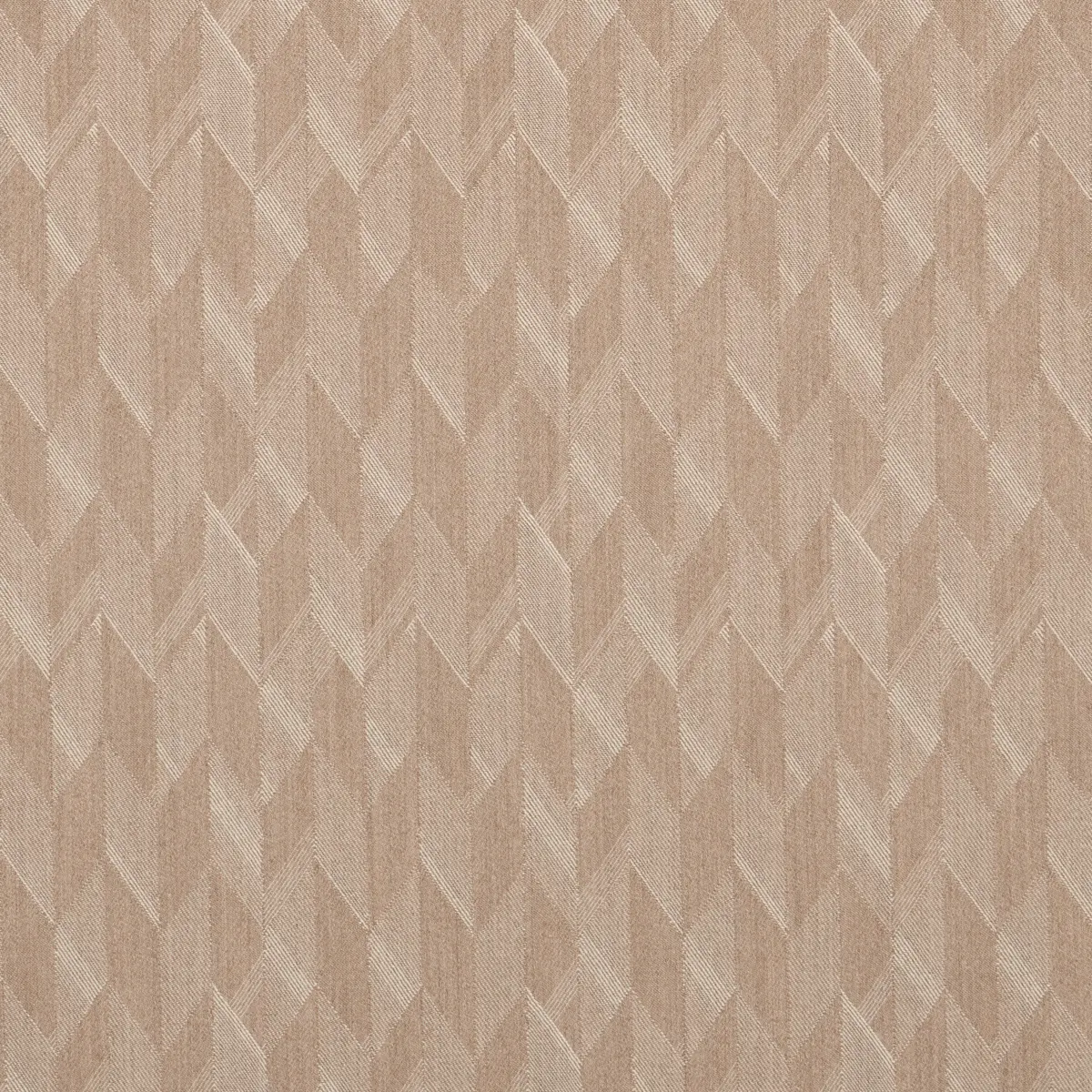 EZRA WOOL_ CAMEL