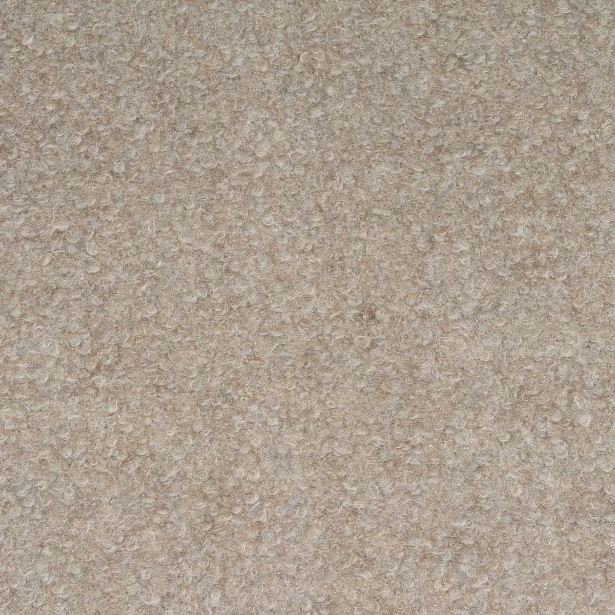 TEDDY WOOL BOUCLÉ_ RABBIT