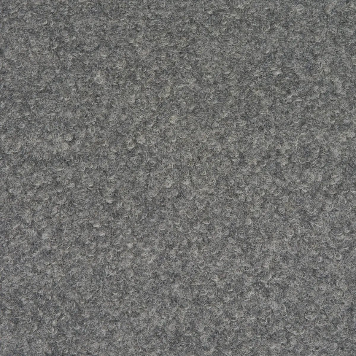 TEDDY WOOL BOUCLÉ_ GREY