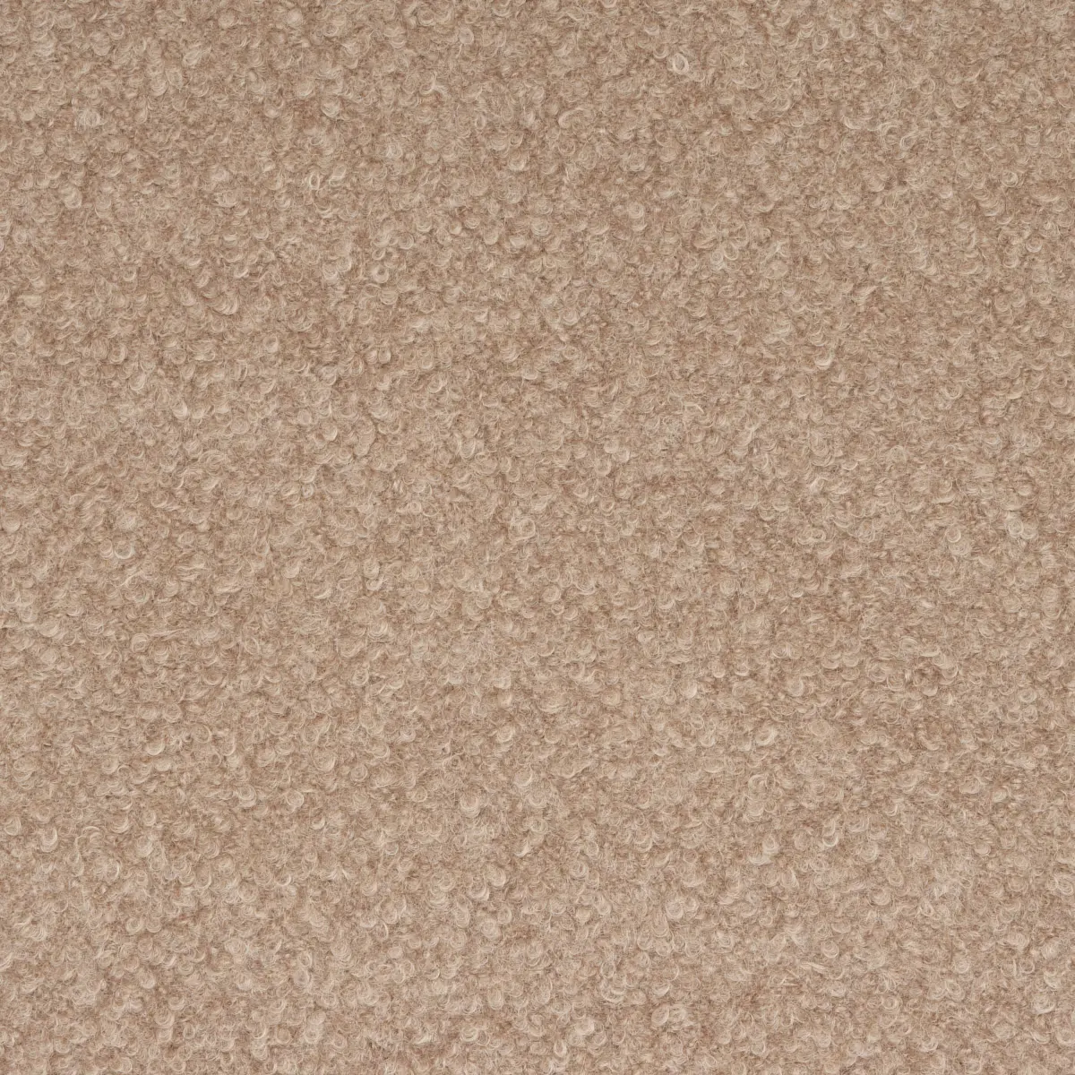 TEDDY WOOL BOUCLÉ_ FAWN