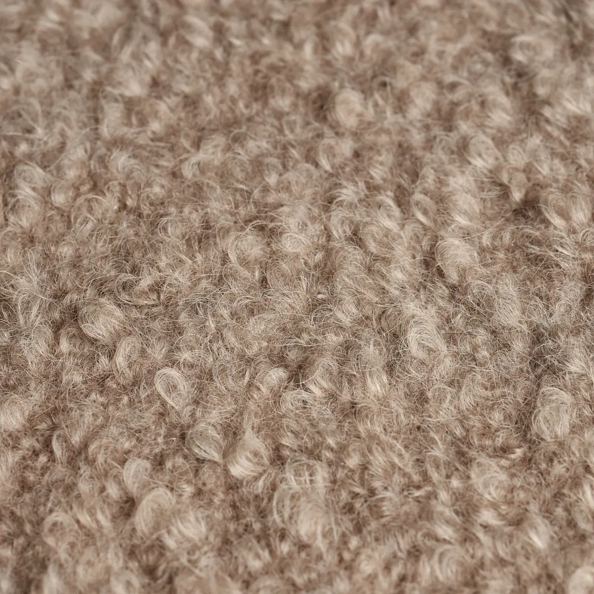 TEDDY WOOL BOUCLÉ_ FAWN
