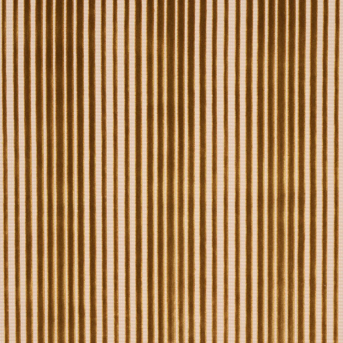 CHIMAY STRIPE VELVET_ BRONZE