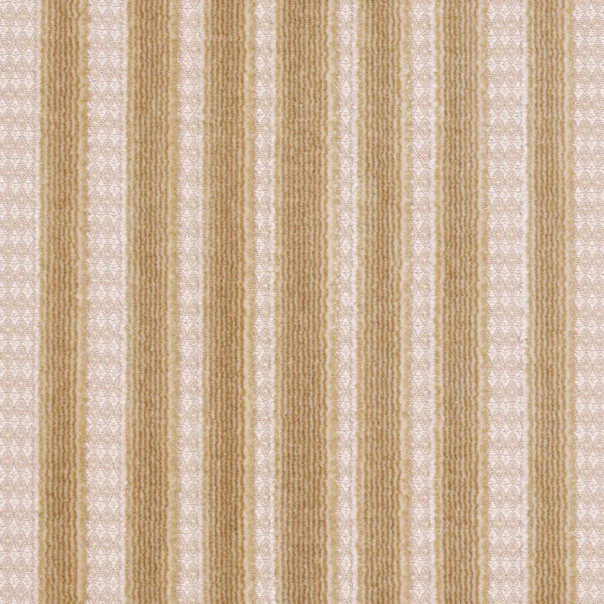 CHIMAY STRIPE VELVET_ CHAMPAGNE