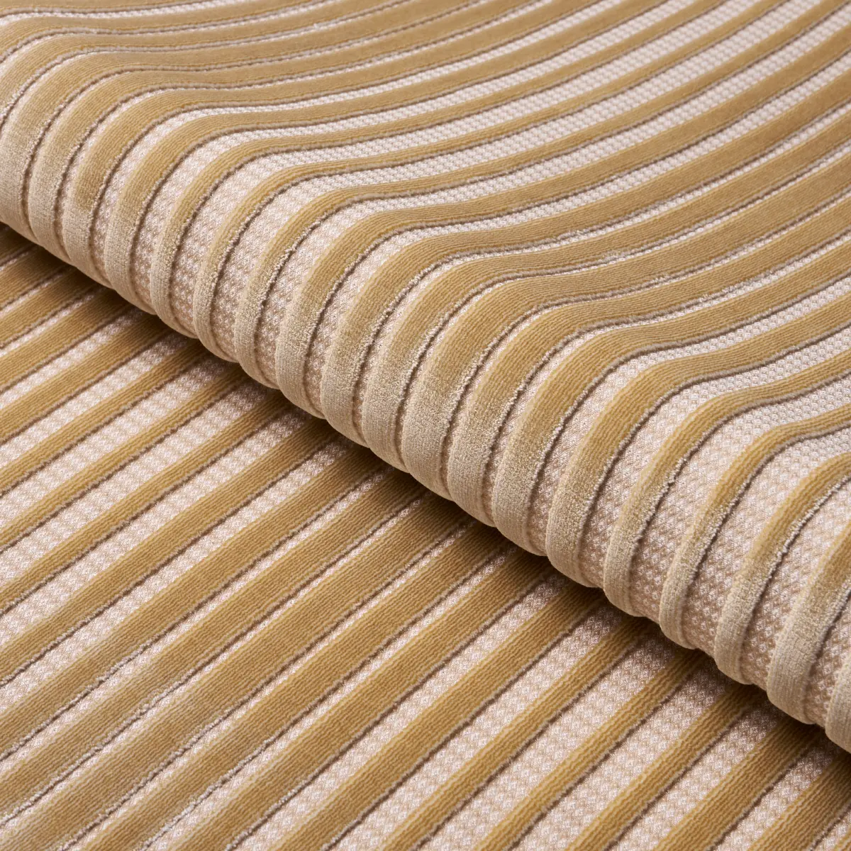 CHIMAY STRIPE VELVET_ CHAMPAGNE