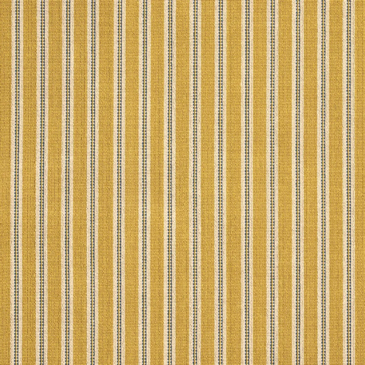 BENSON STRIPE ÉPINGLÉ_ SAFFRON