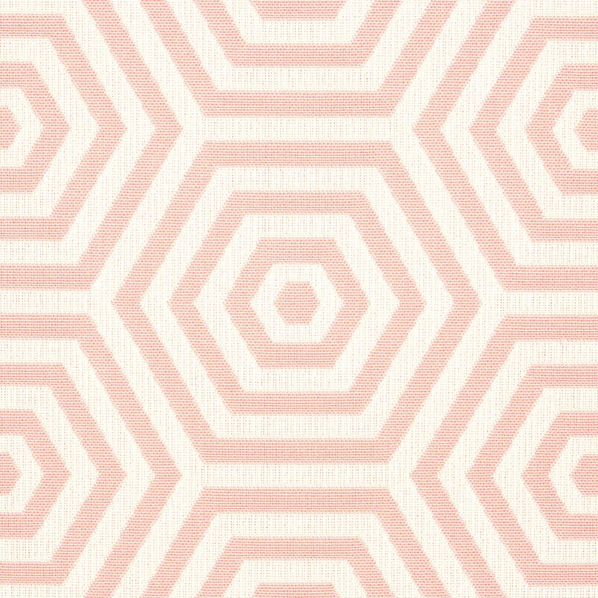 BEES KNEES INDOOR/OUTDOOR_ PETAL
