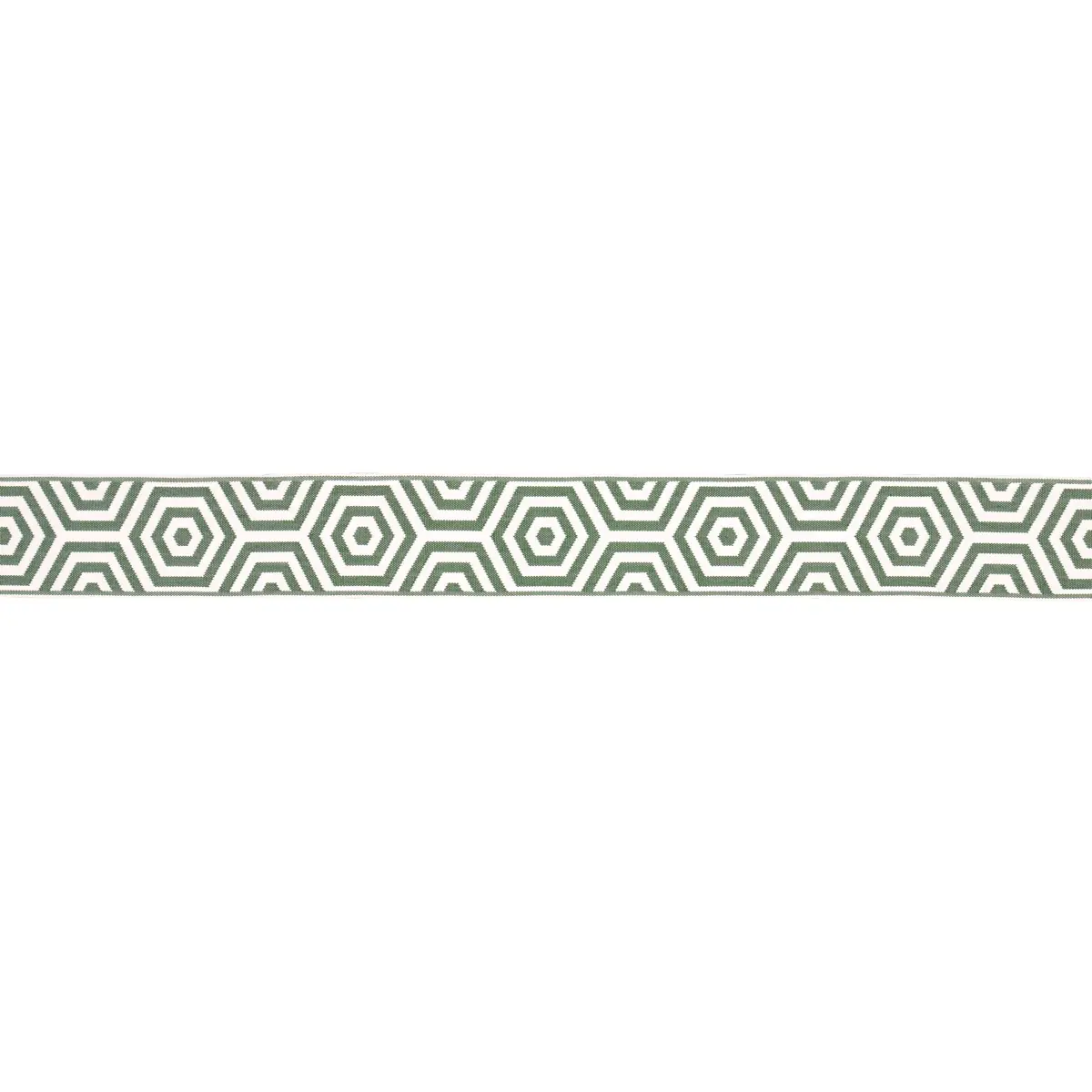 BEES KNEES INDOOR/OUTDOOR TAPE_ GREEN