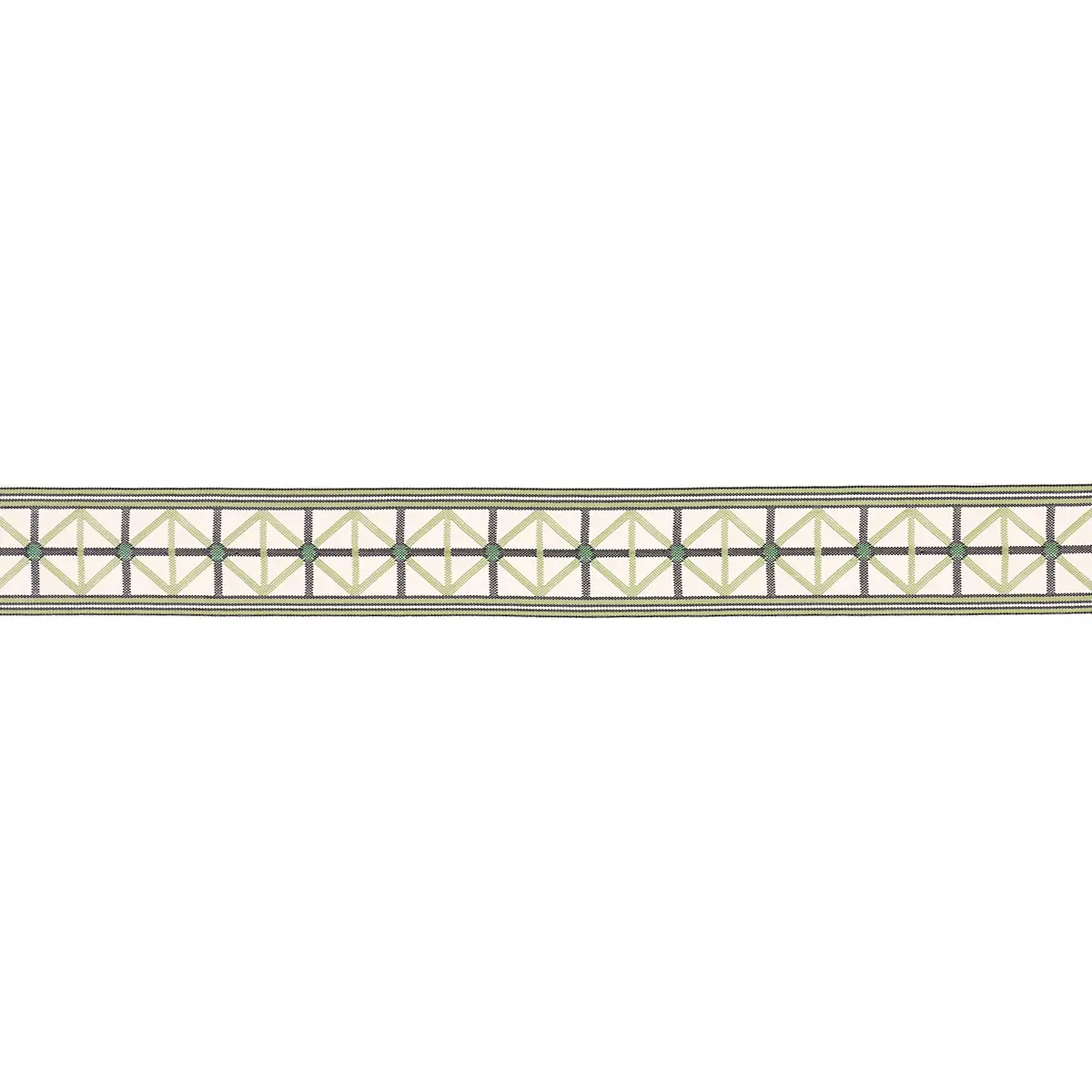 NAPOLEON INDOOR/OUTDOOR TAPE_ MOSS