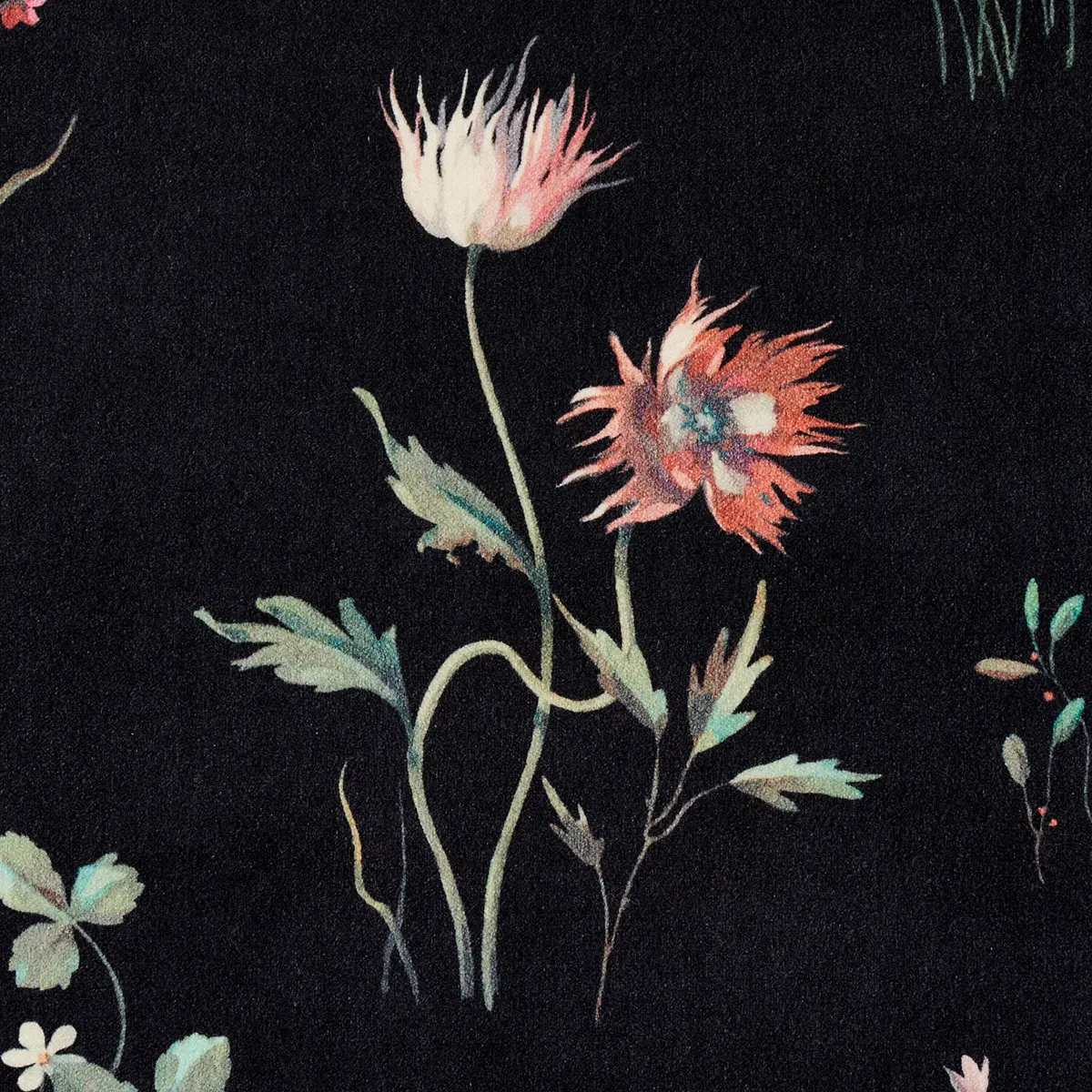 PRIMAVERA VELVET_ BLACK