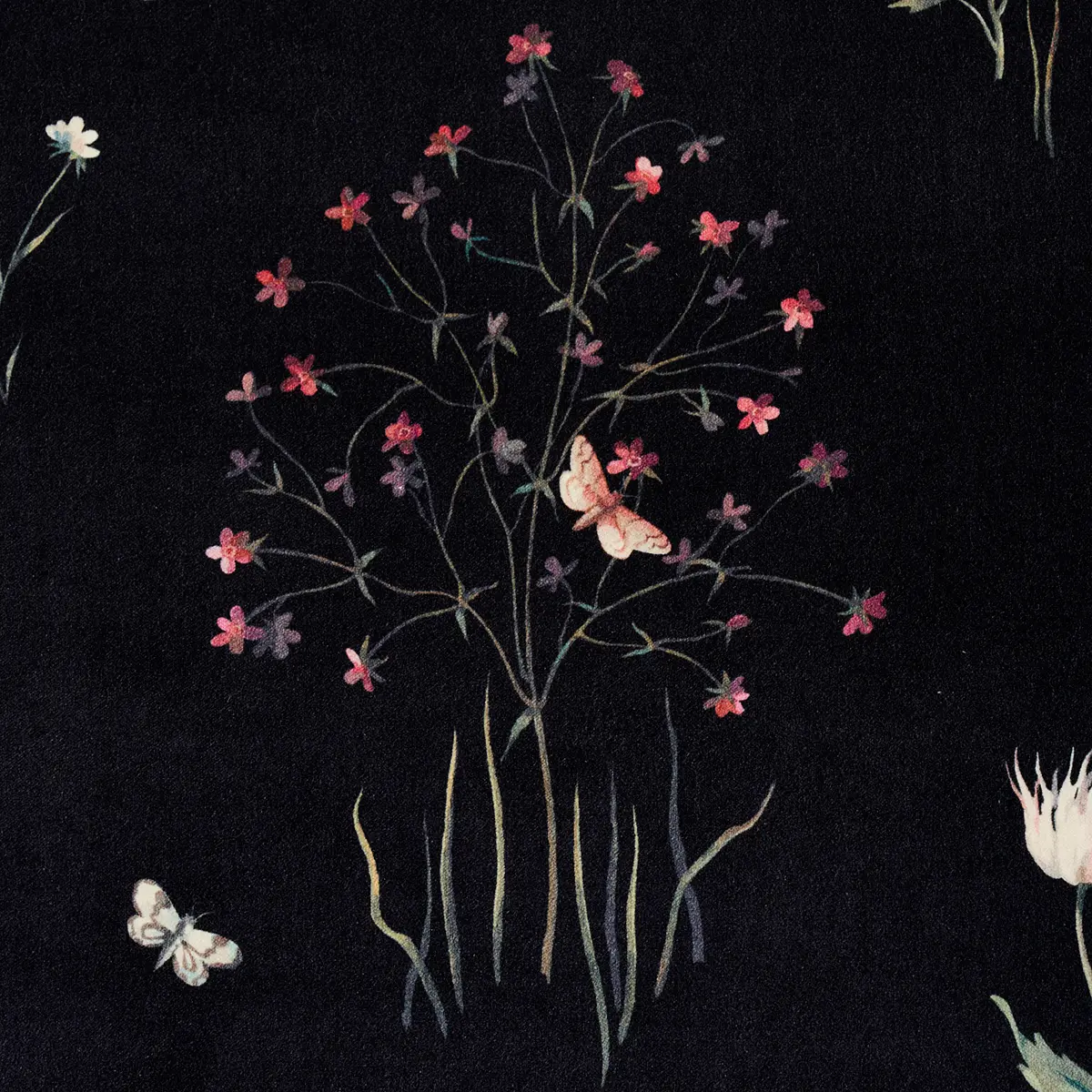 PRIMAVERA VELVET_ BLACK