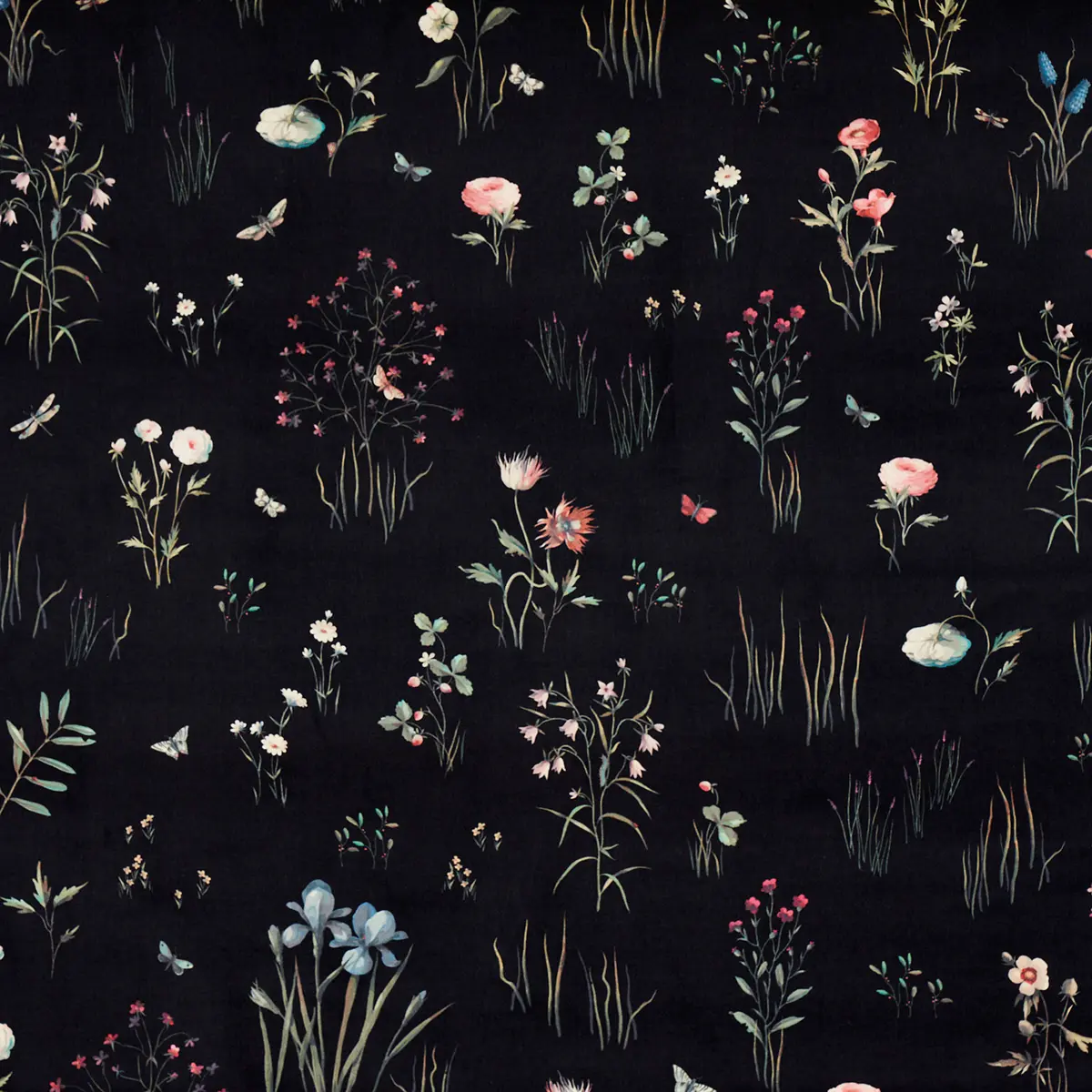 PRIMAVERA VELVET_ BLACK