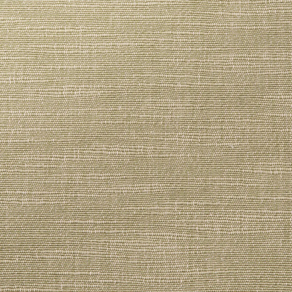 ANNABEL COTTON_ NEUTRAL