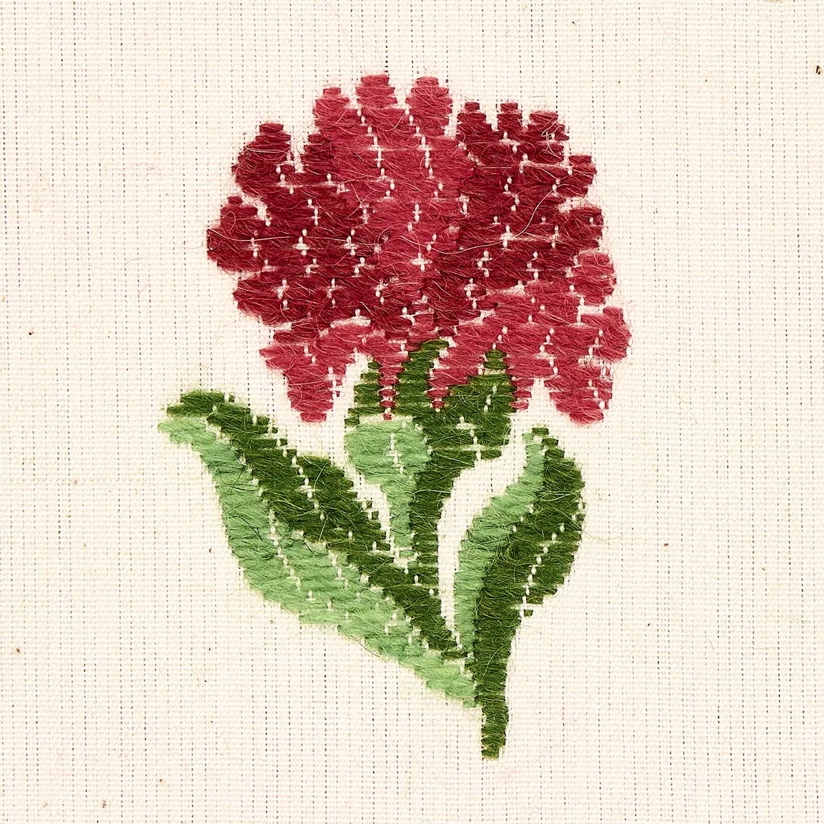 ROSINA FLORAL_ GARNET