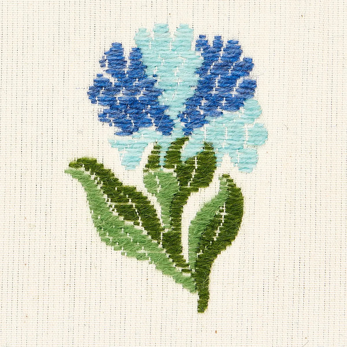 ROSINA FLORAL_ CORNFLOWER