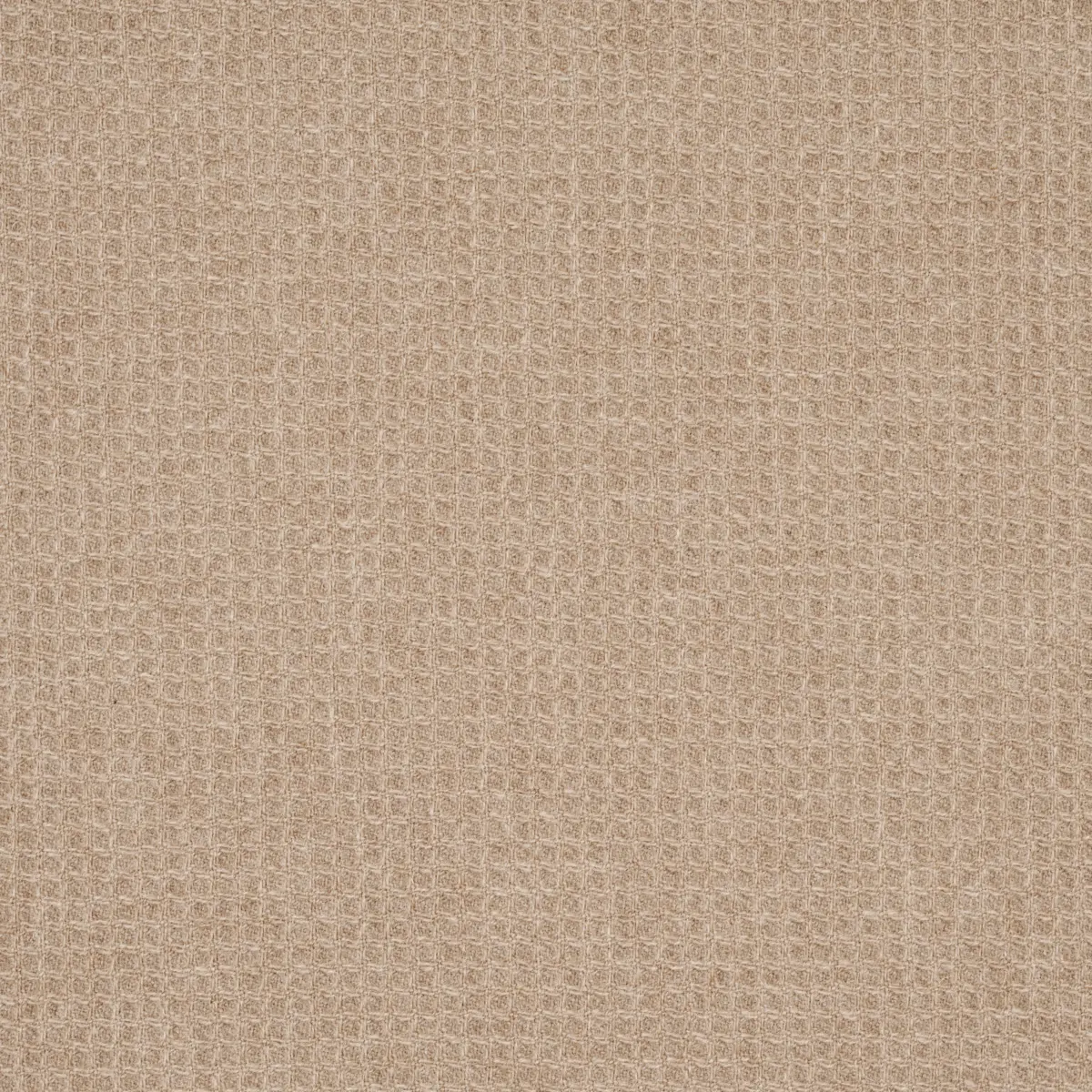 WALDEN WOOL TEXTURE_ WHEAT