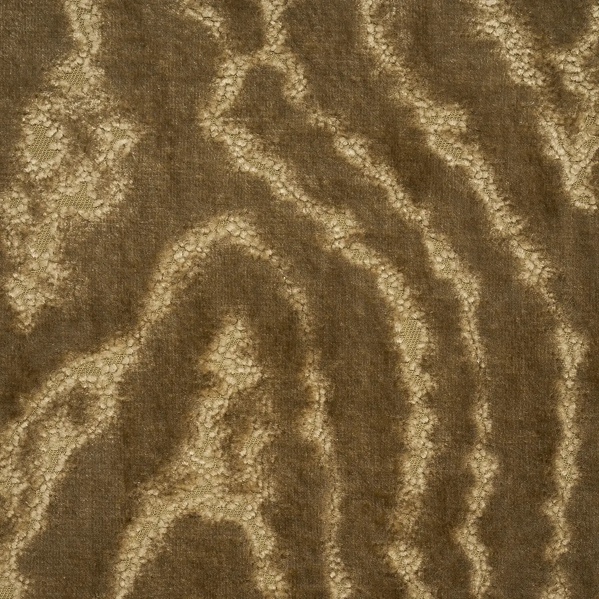 MARISA MOIRE VELVET_ CAMEL