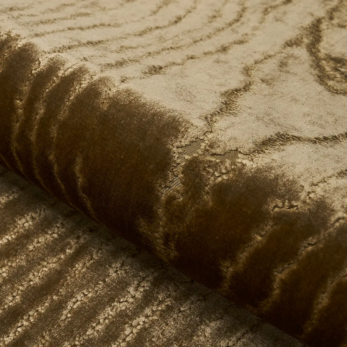 MARISA MOIRE VELVET_ CAMEL