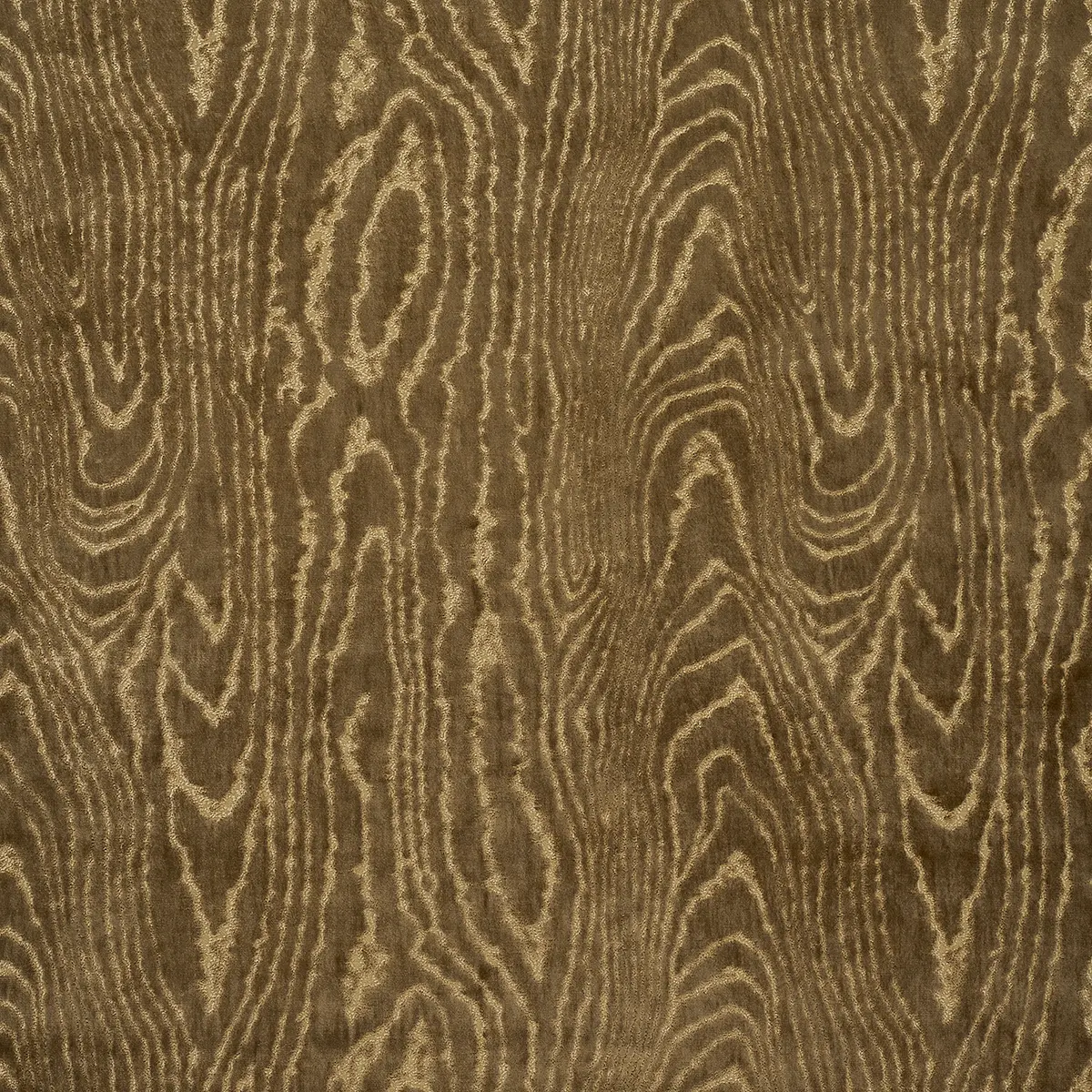 MARISA MOIRE VELVET_ CAMEL