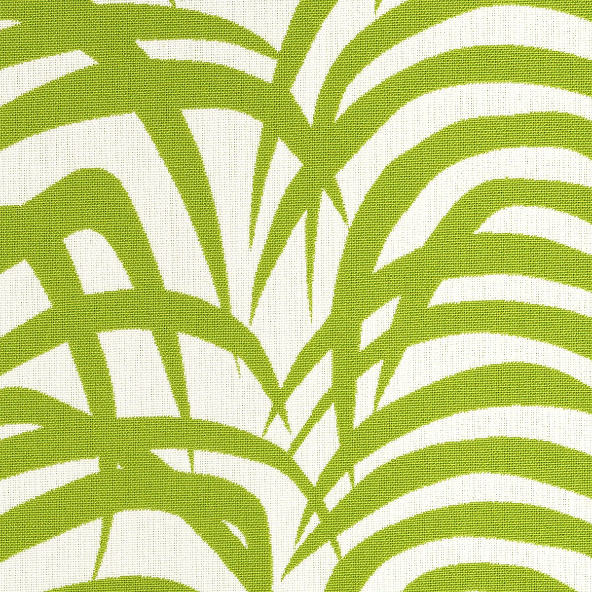 Zebra Palm Woven Indoor/Outdoor_ GREEN