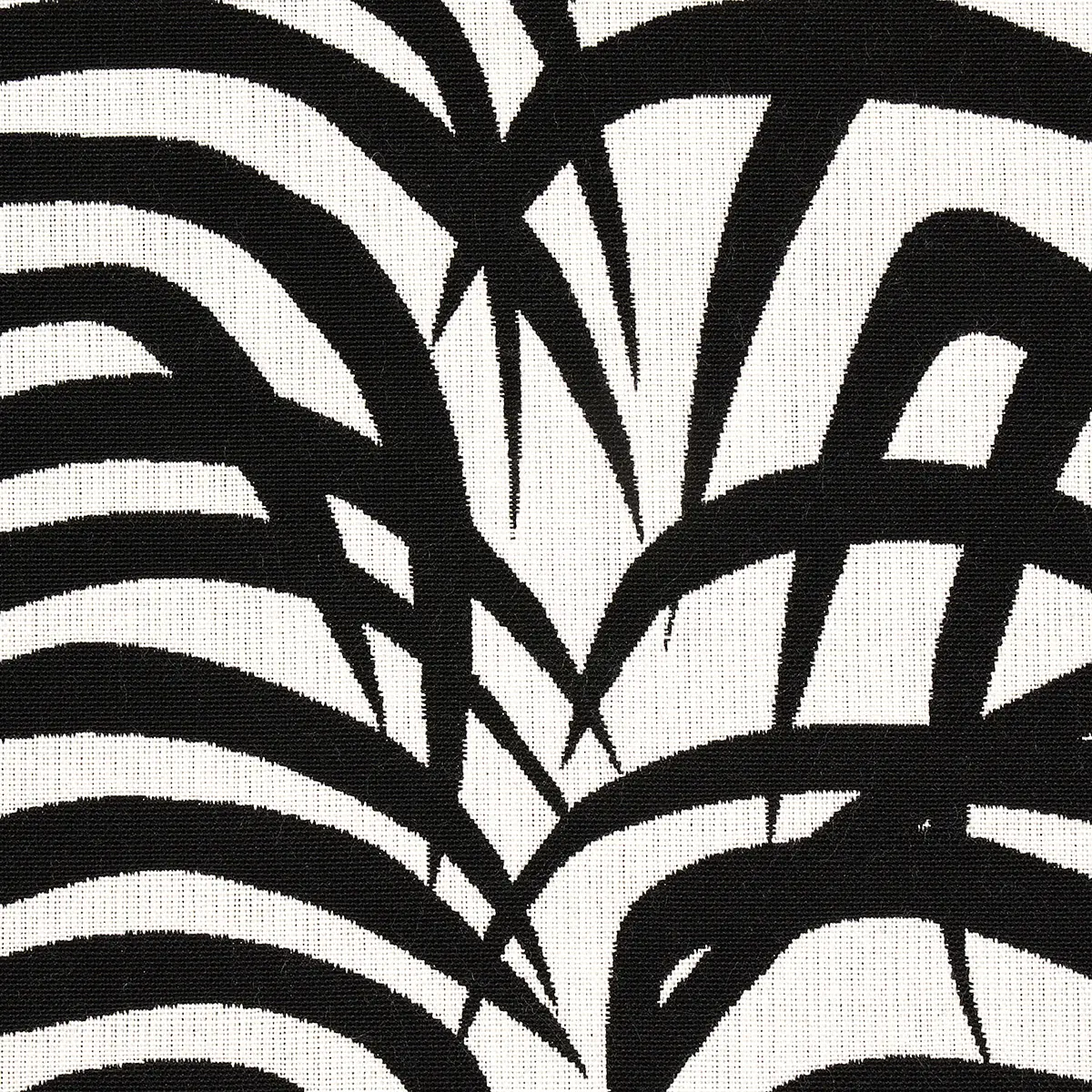 ZEBRA PALM INDOOR/OUTDOOR_ BLACK