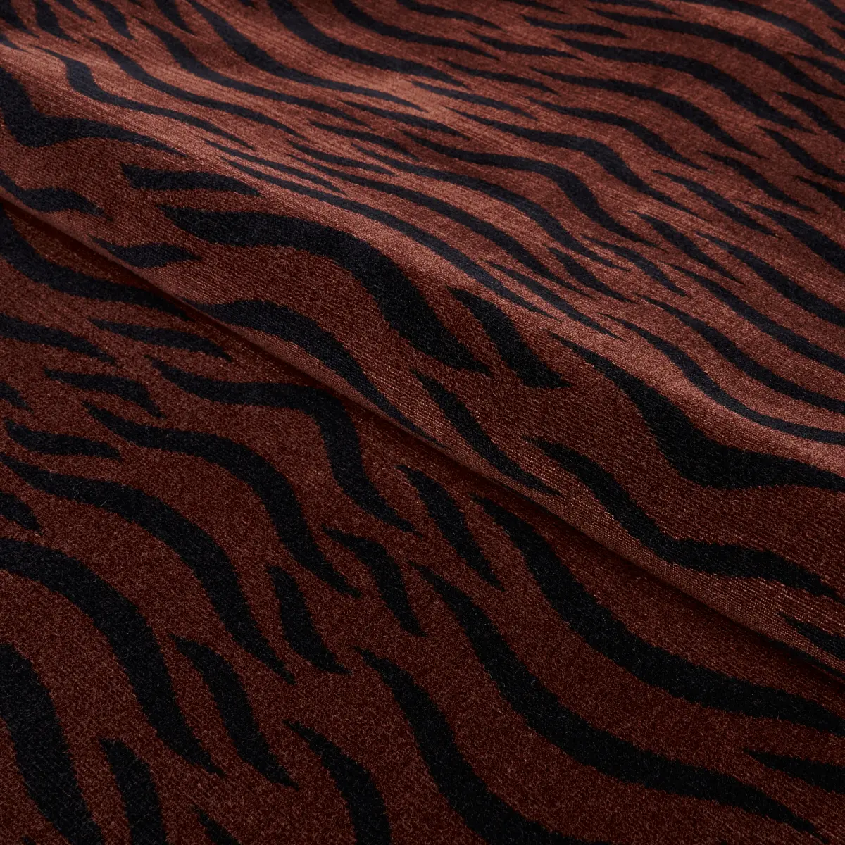 SABI TIGER VELVET_ JAVA