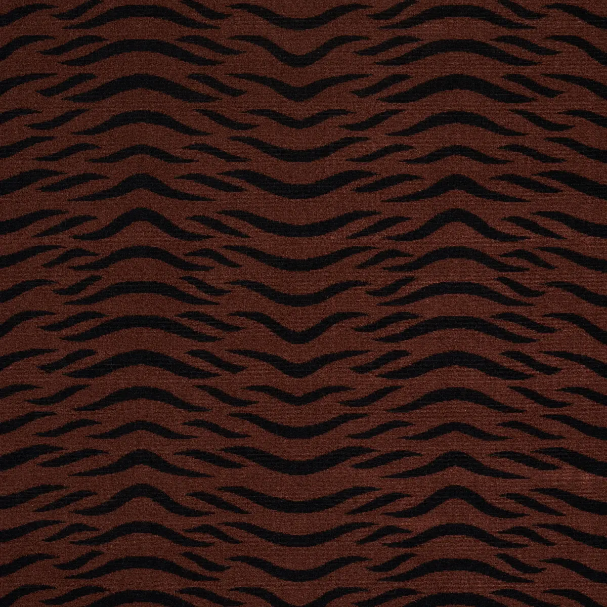 SABI TIGER VELVET_ JAVA