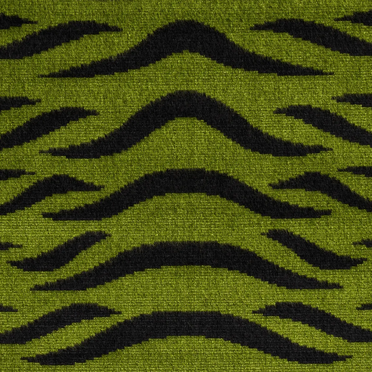 SABI TIGER VELVET_ JUNGLE