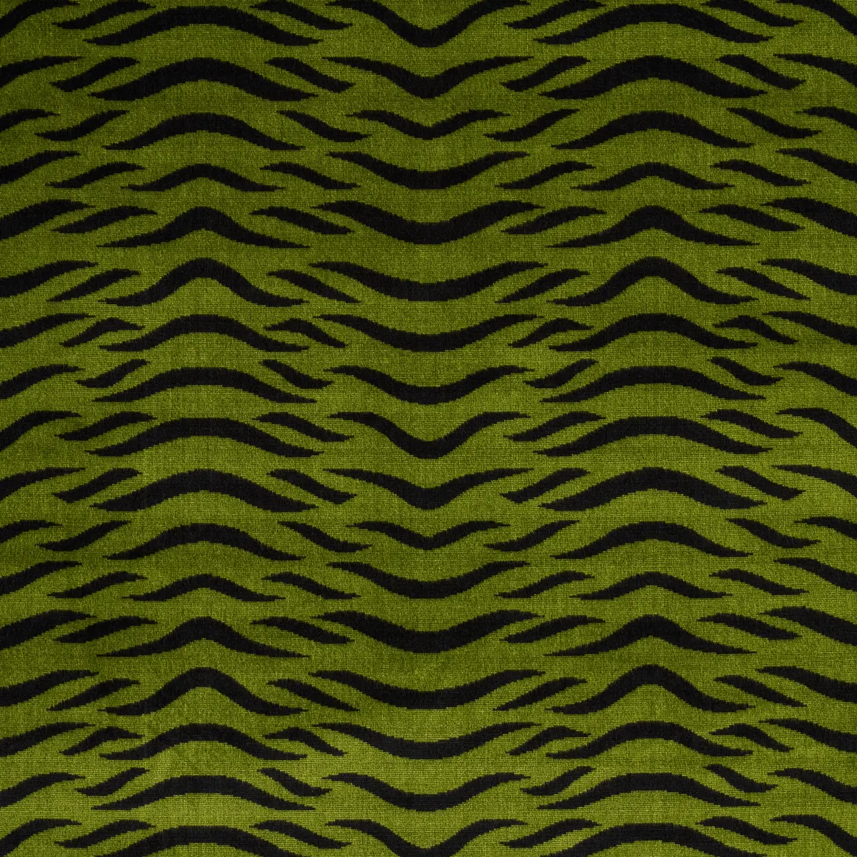 SABI TIGER VELVET_ JUNGLE