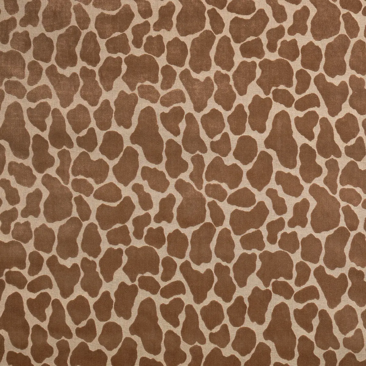 GIRAFFE VELVET_ SAFARI