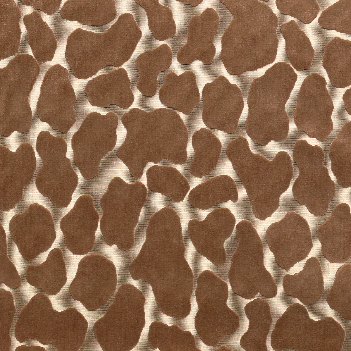 GIRAFFE VELVET_ SAFARI