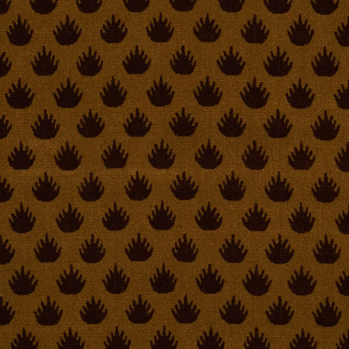CORONATION VELVET_ BRONZE