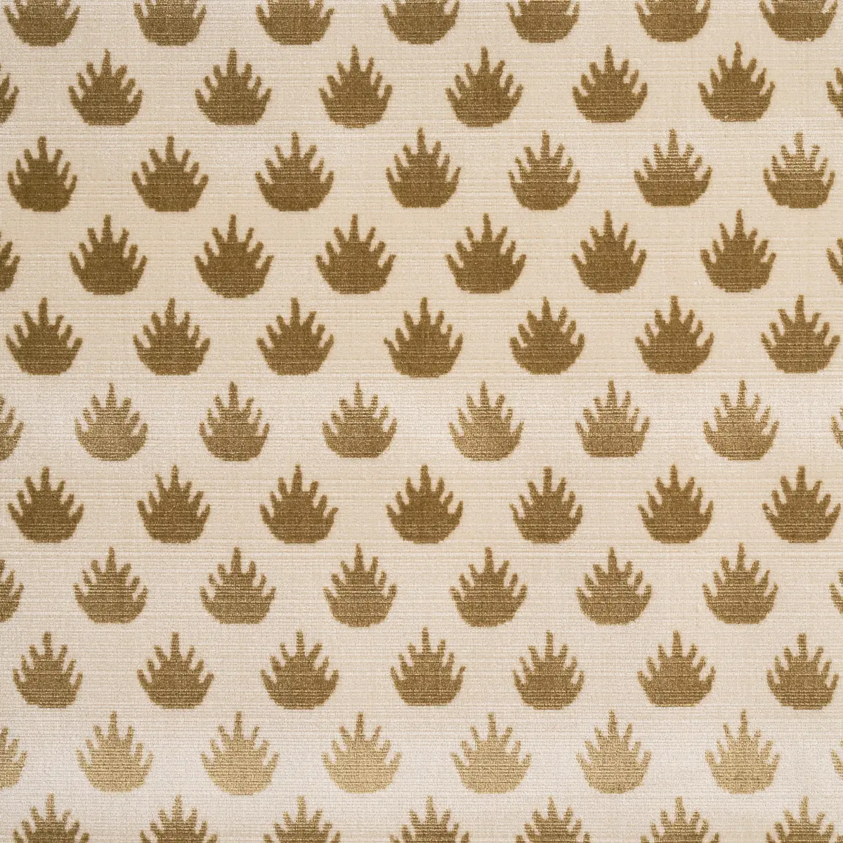 CORONATION VELVET_ CAMEL