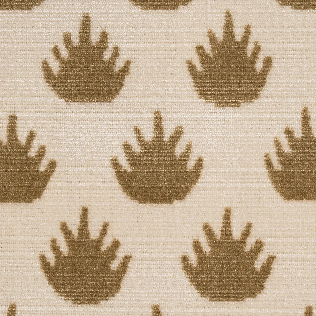 CORONATION VELVET_ CAMEL