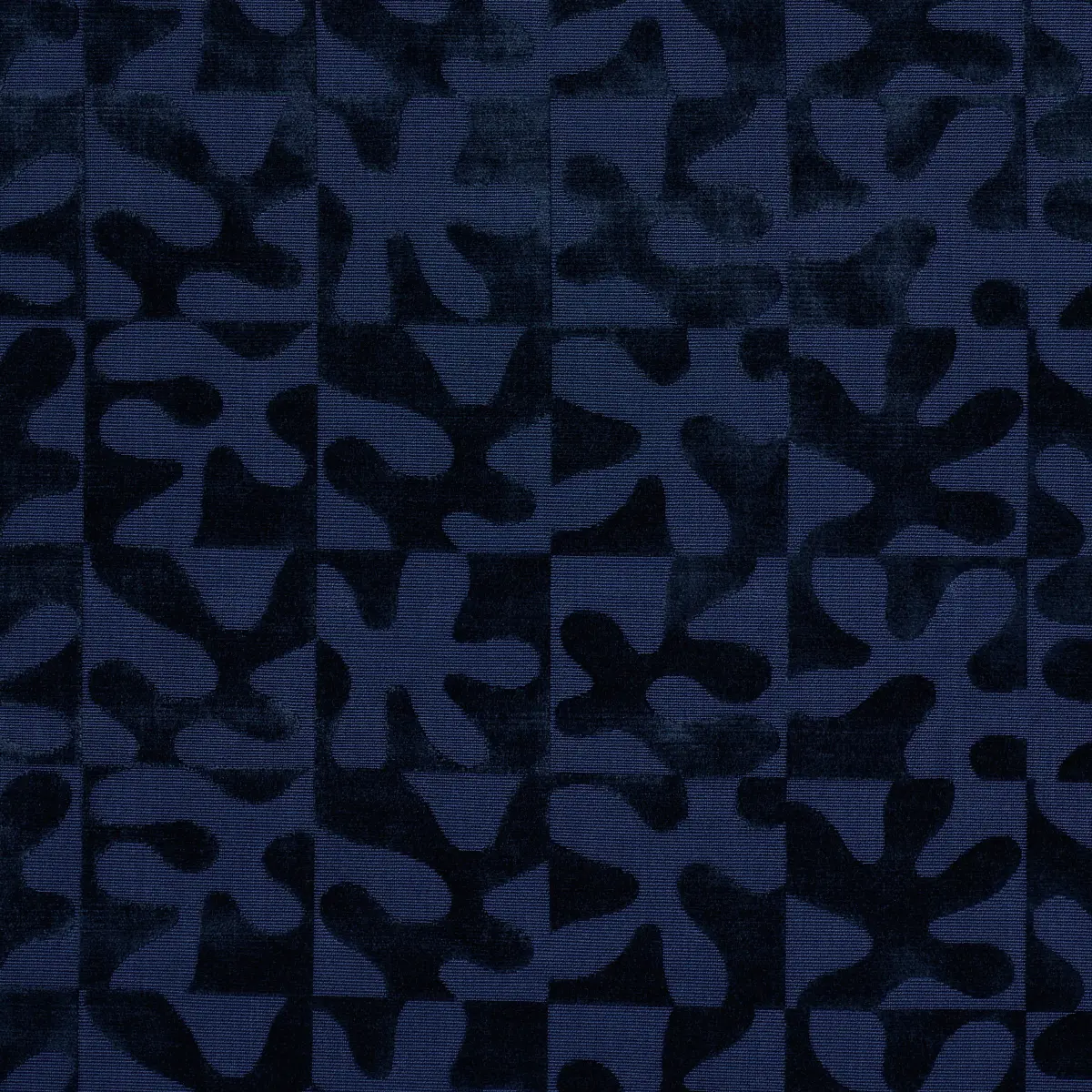 MODERN DANCE VELVET_ MIDNIGHT BLUE