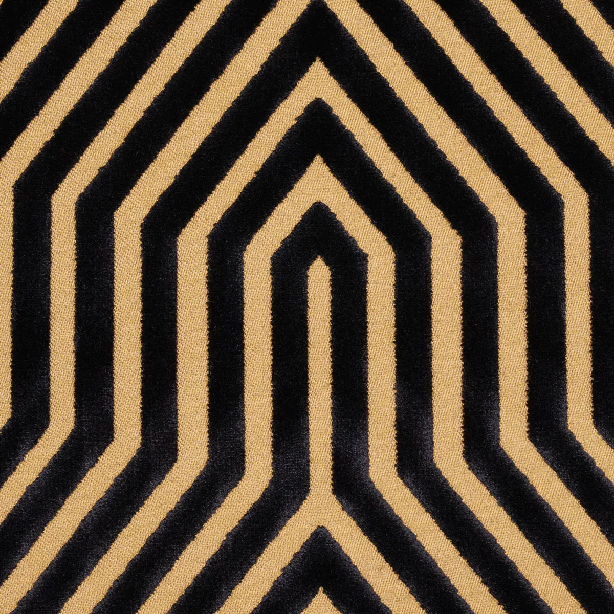 VANDERBILT VELVET_ TORTOISE