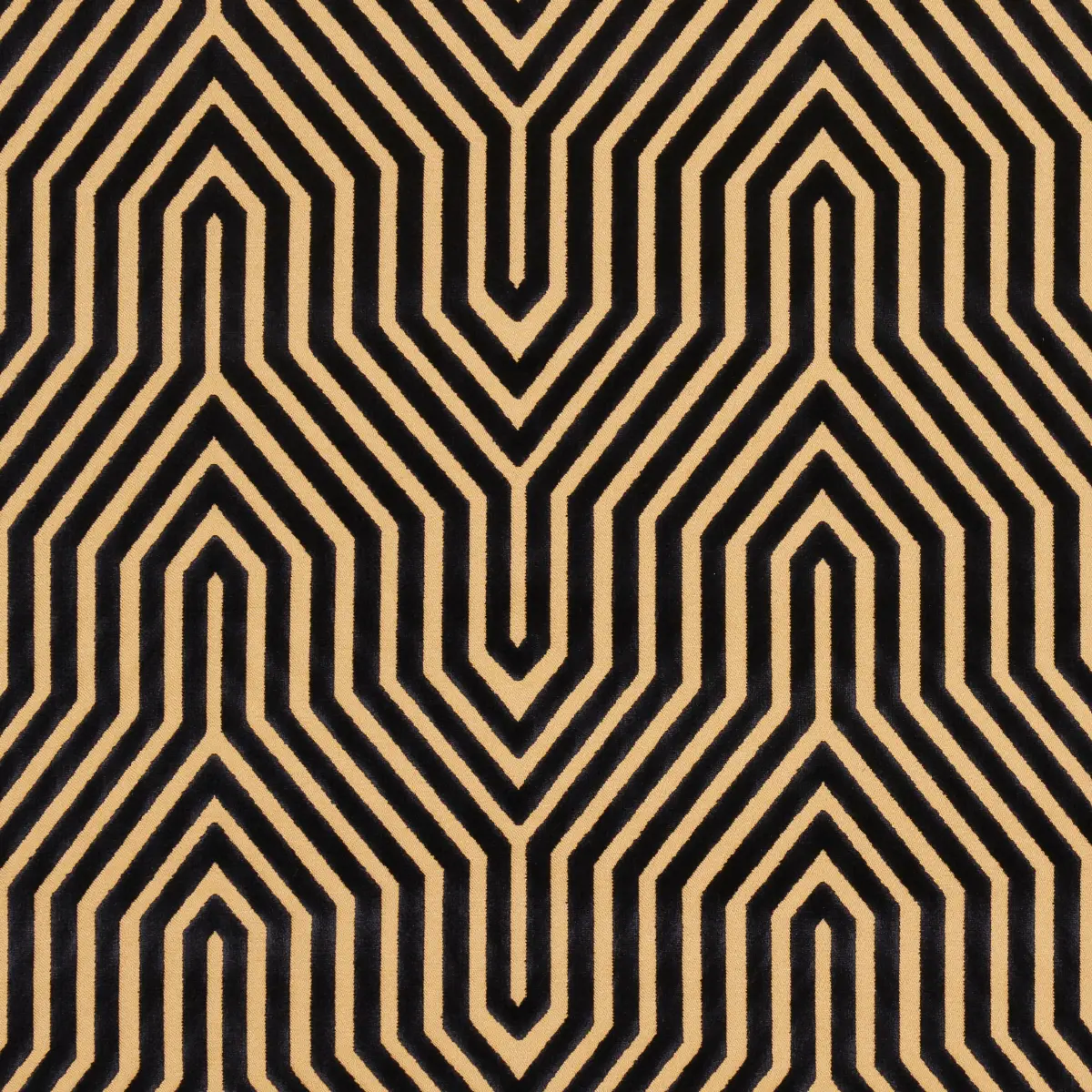 VANDERBILT VELVET_ TORTOISE