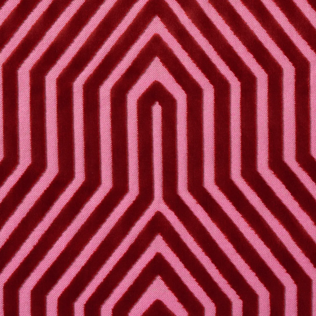 VANDERBILT VELVET_ FUCHSIA