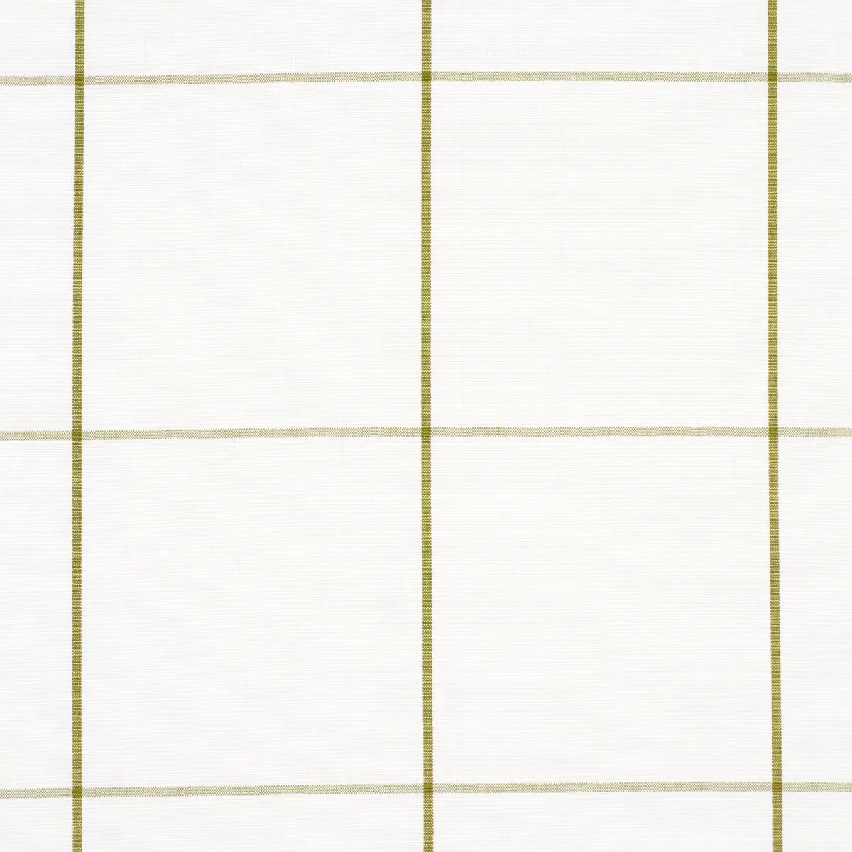 WOODMAN CHECK_ OLIVE
