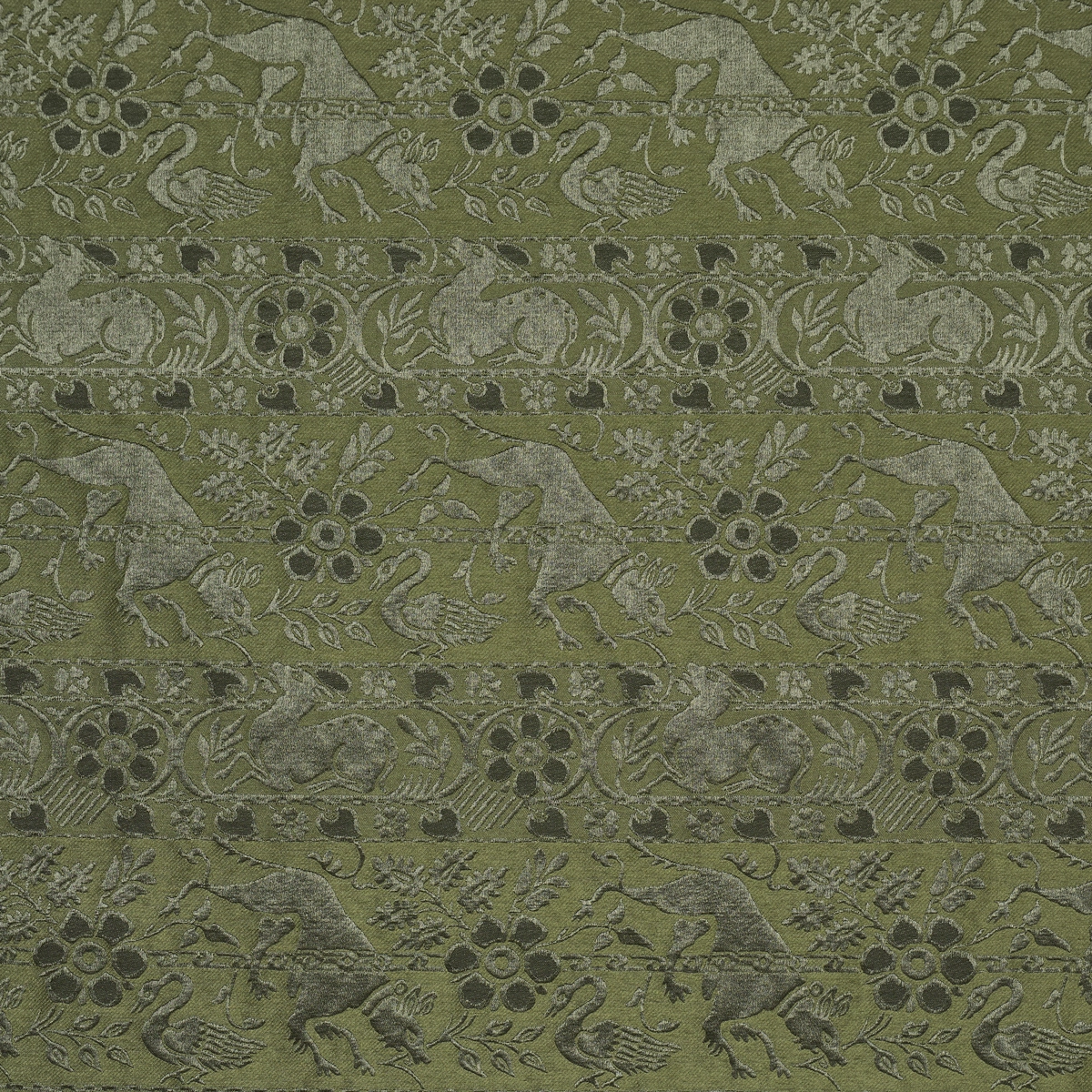 ANIMALI_ MOSS