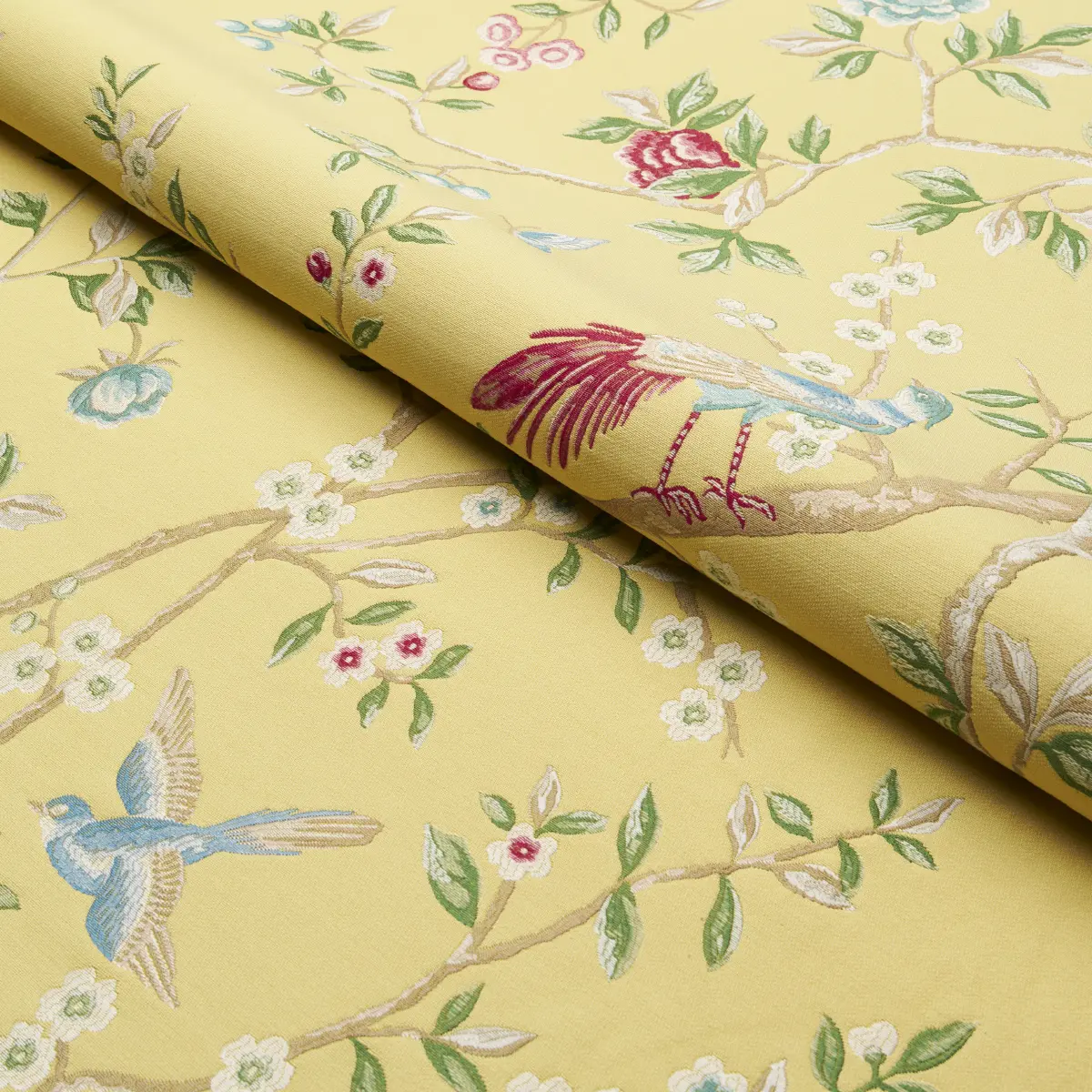 GEORGIA VINE_ SOFT YELLOW