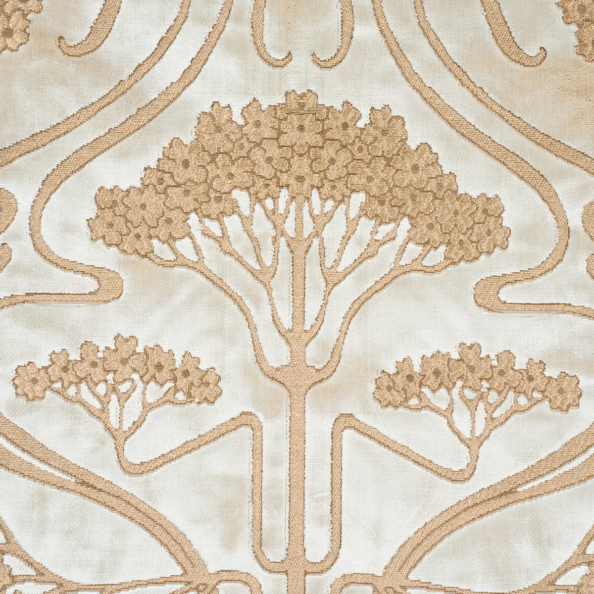 OMBELLI JACQUARD VELVET_ FAWN