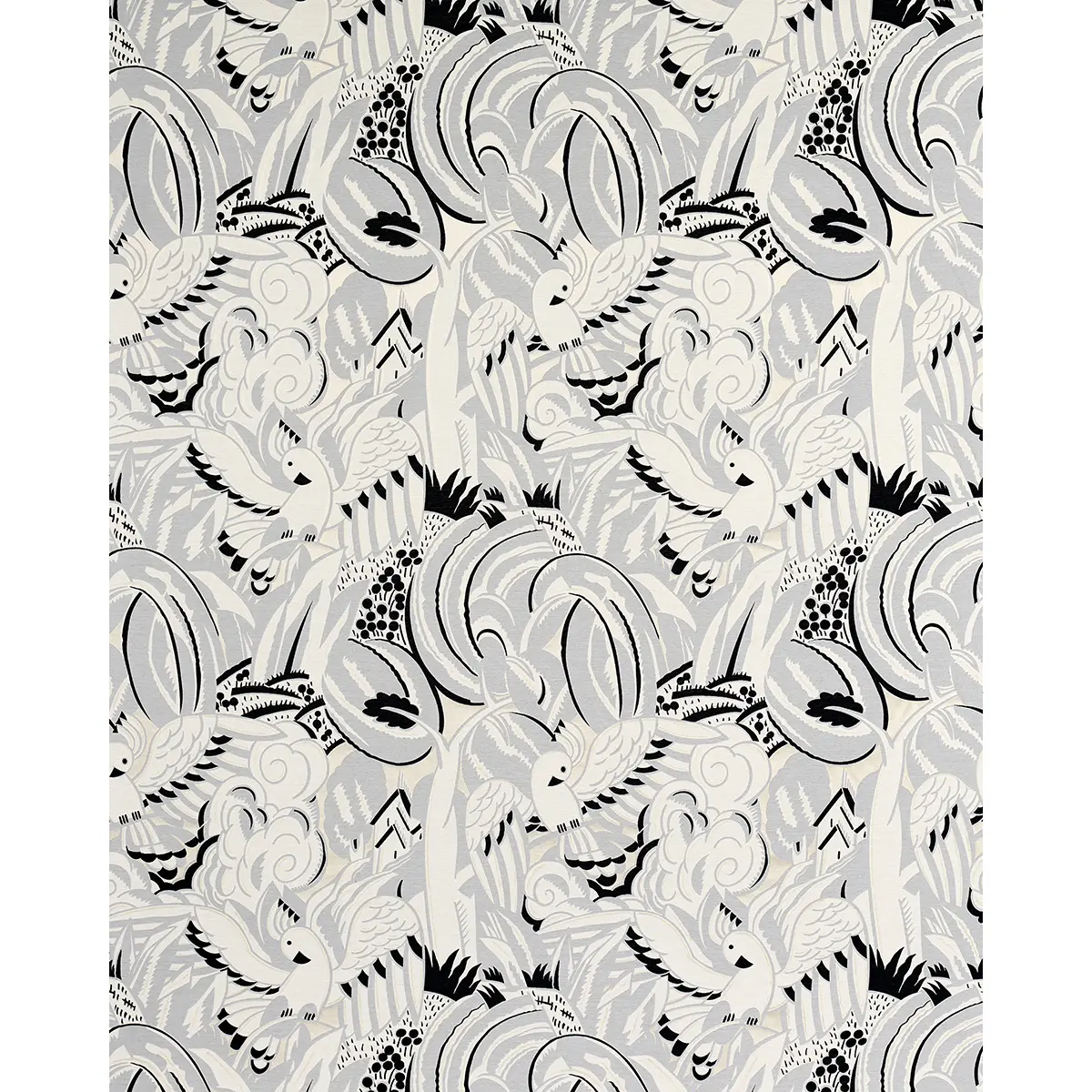 PARROTS MODERNE_ DOVE