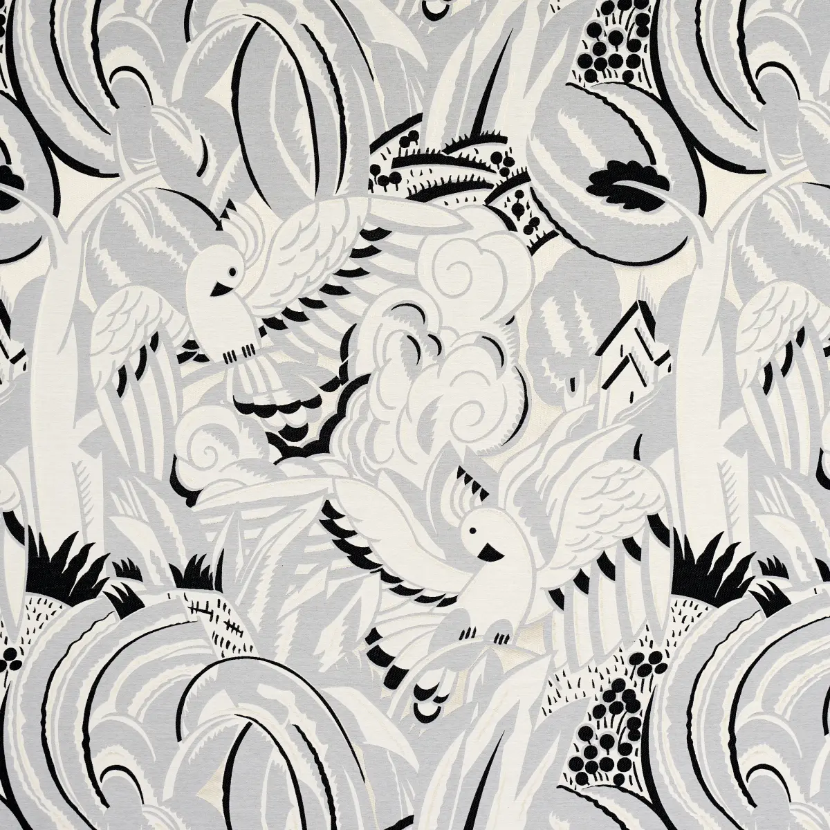 PARROTS MODERNE_ DOVE