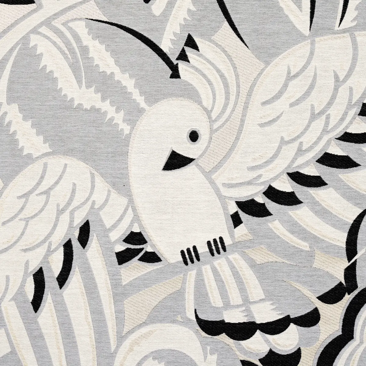 PARROTS MODERNE_ DOVE