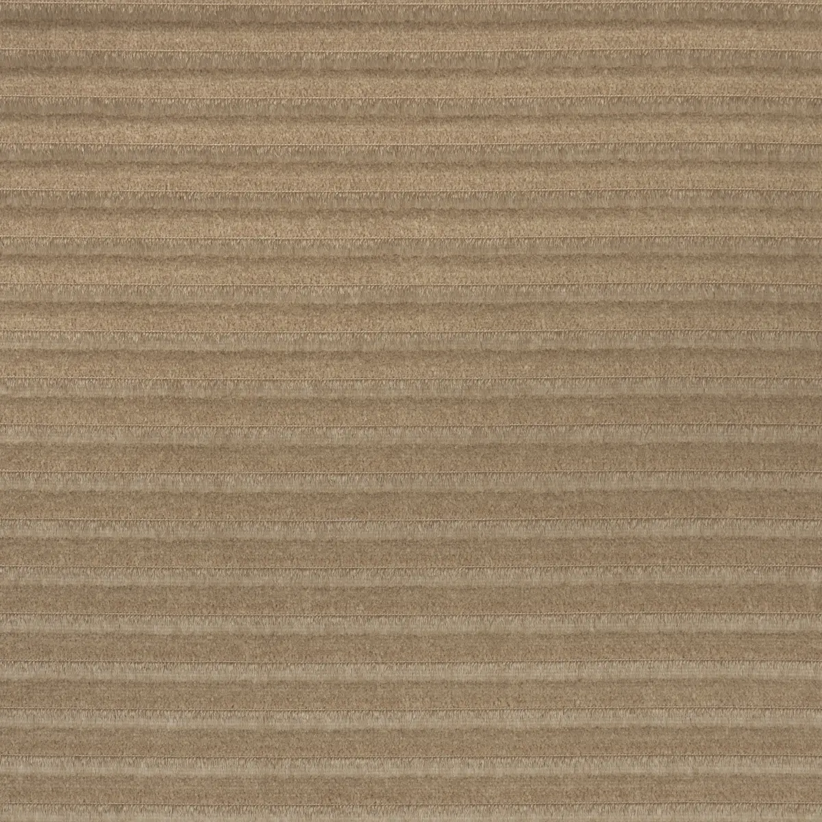 PETITE CHANNELED VELVET_ CAMEL