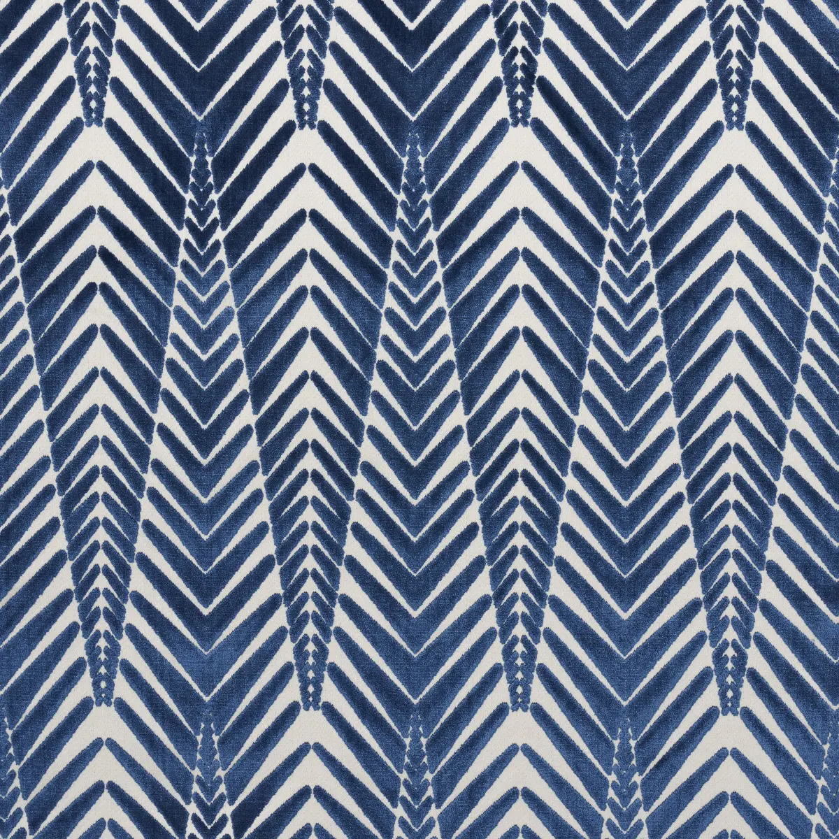 ZEBRA VELVET_ SILVER BLUE