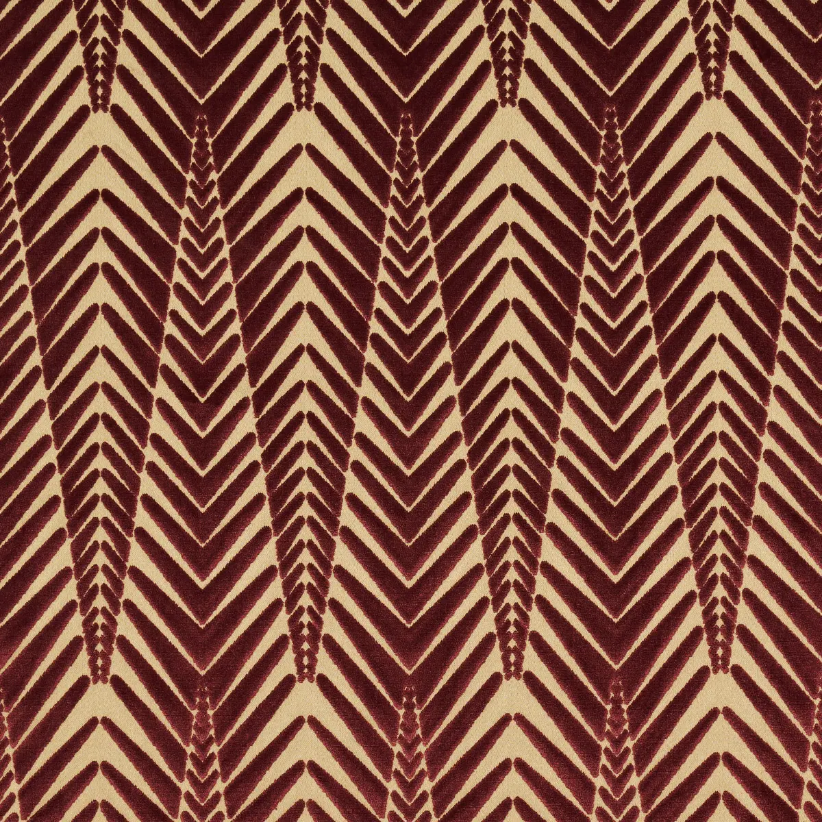 ZEBRA VELVET_ GOLD PLUM