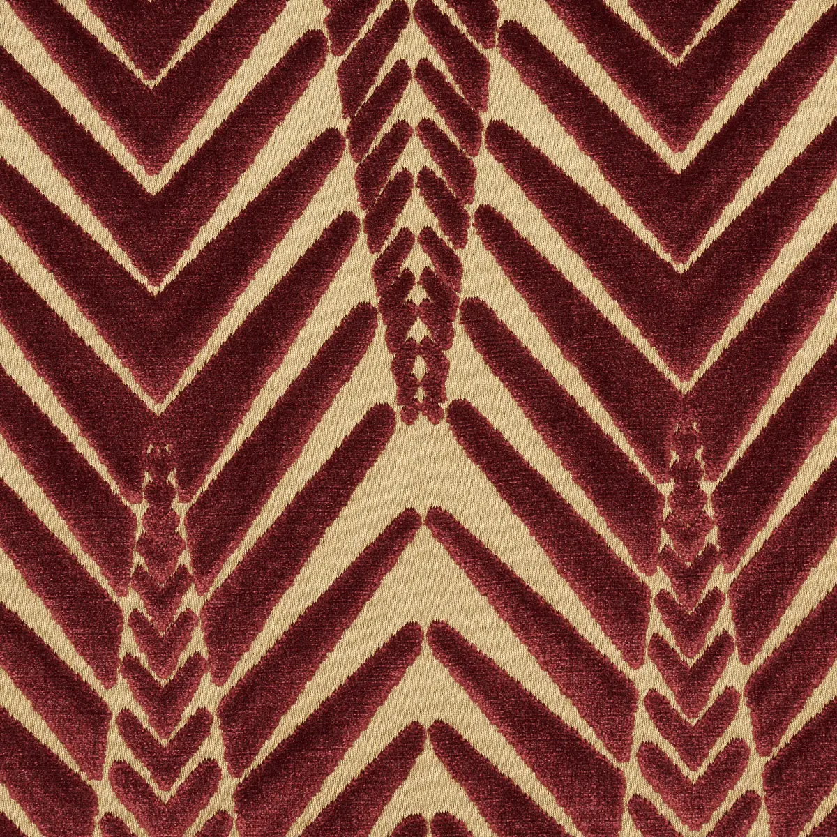 ZEBRA VELVET_ GOLD PLUM