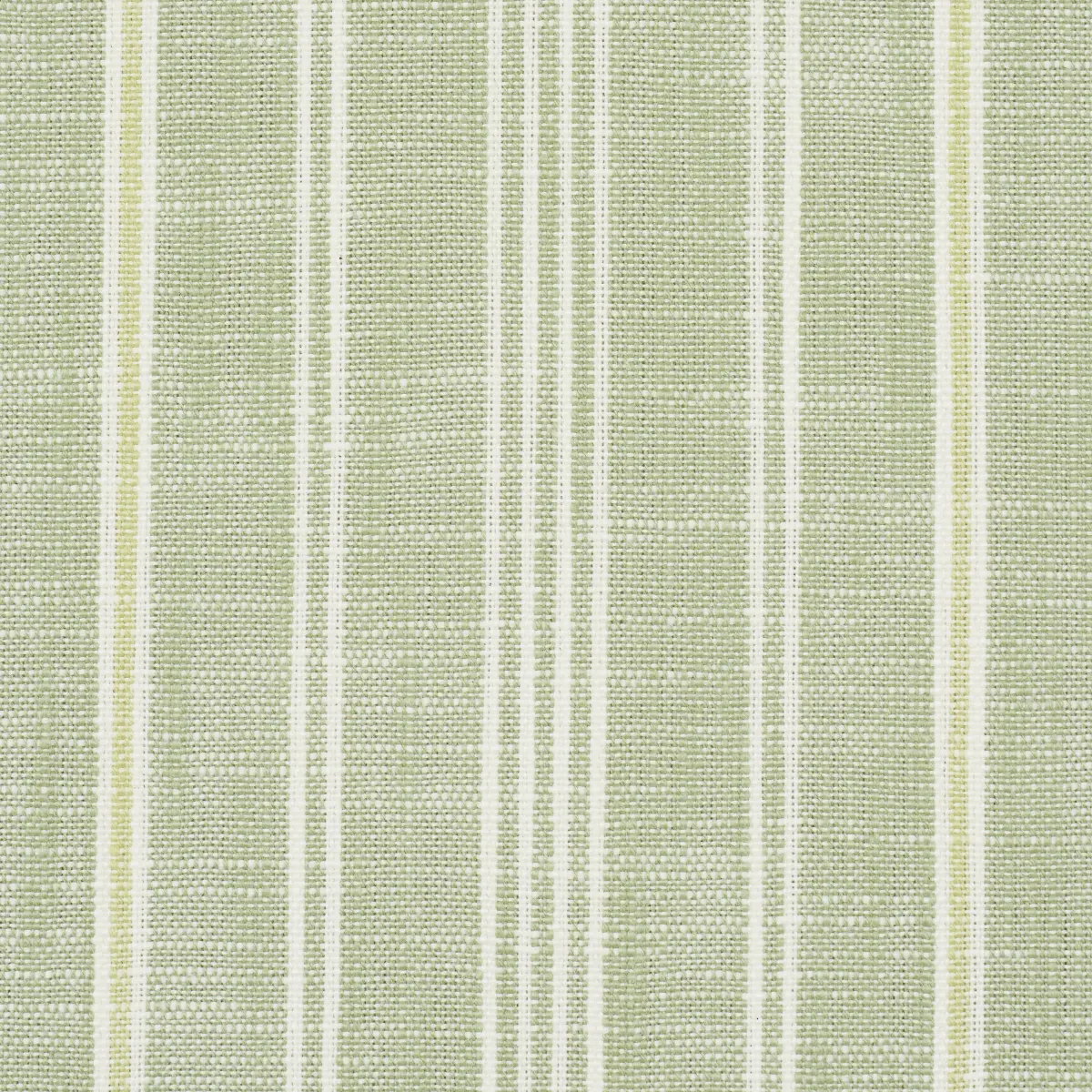 LUCY STRIPE_ LEAF GREEN
