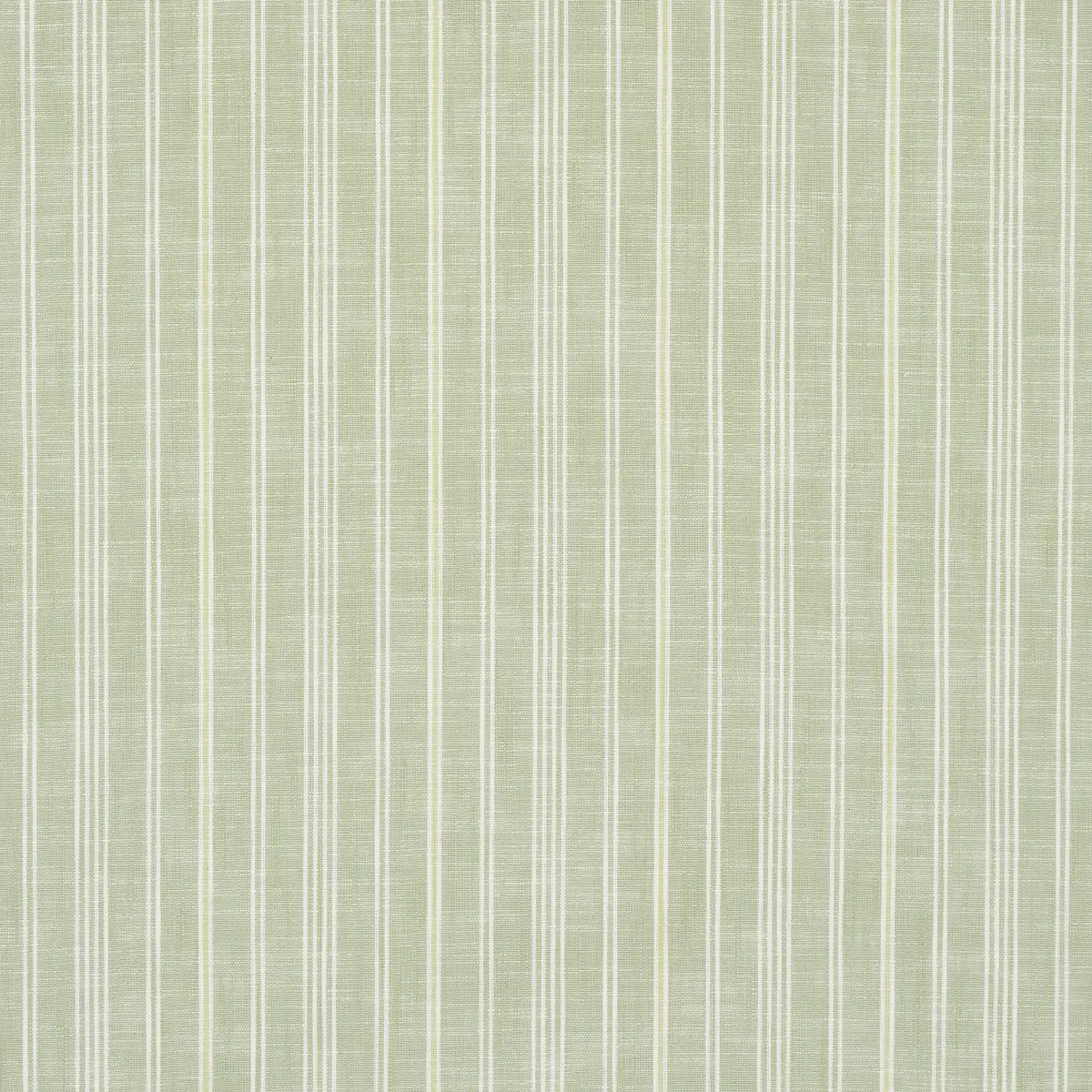 LUCY STRIPE_ LEAF GREEN